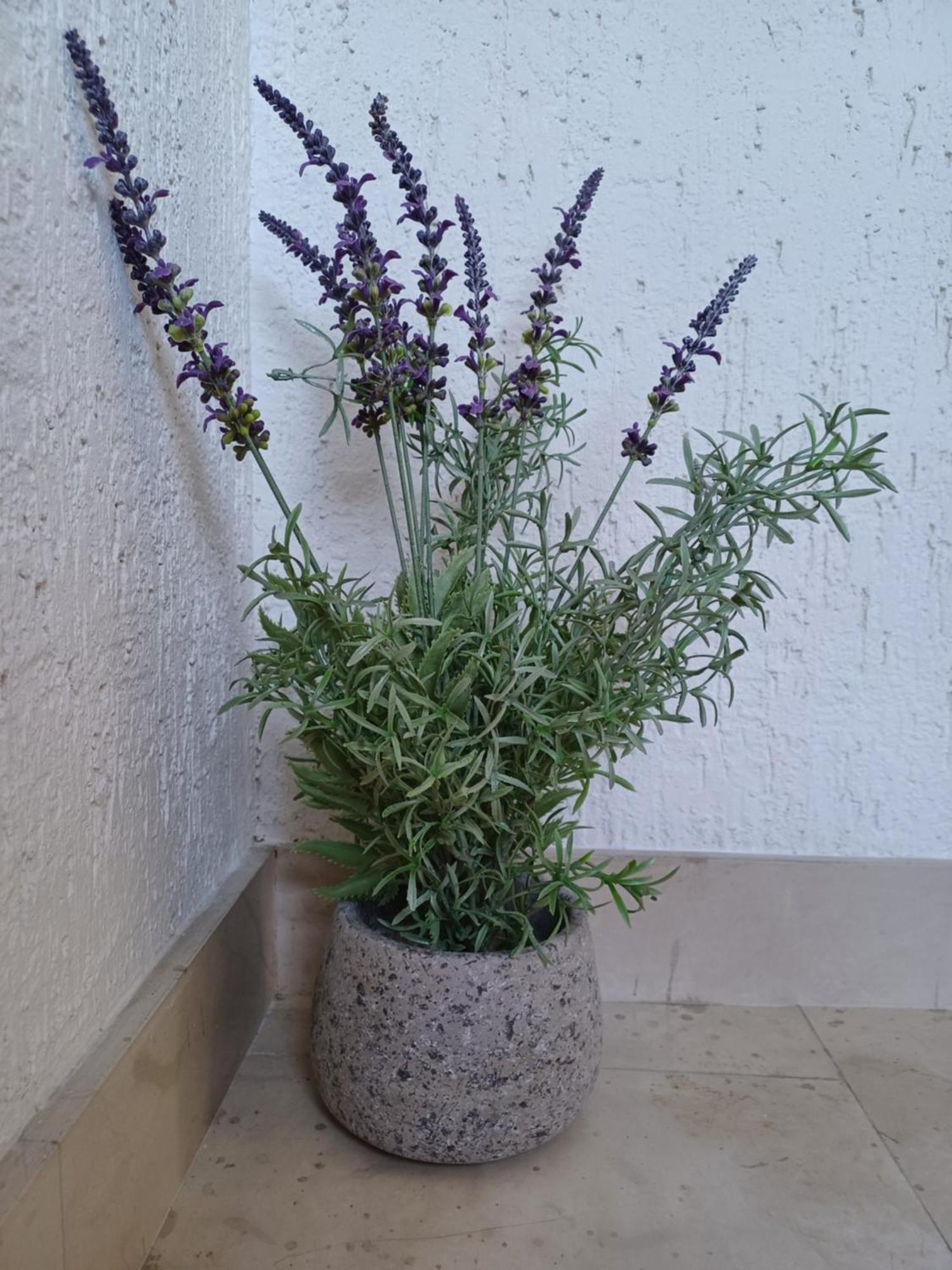Emilija Apartament *
